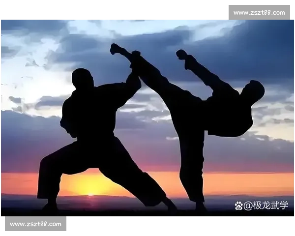 以止戈对阵流派之争从武学理念到时代选择的深度解析全面观察与未来走向 以止戈对阵流派之争从武学理念到时代选择的深度解析全面观察与未来走向